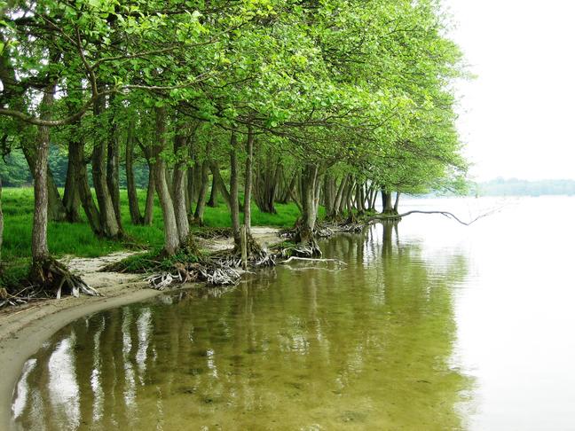 Lake Ravn, Denmark, D. Trolle (2005)